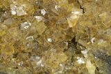 Gemmy, Yellow Fluorite Crystals - Moscona Mine, Spain #188324-5